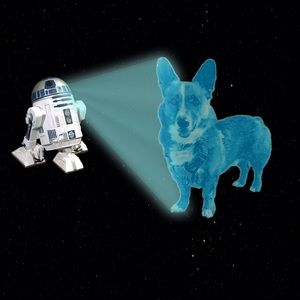 Meet your Posher, Lacey